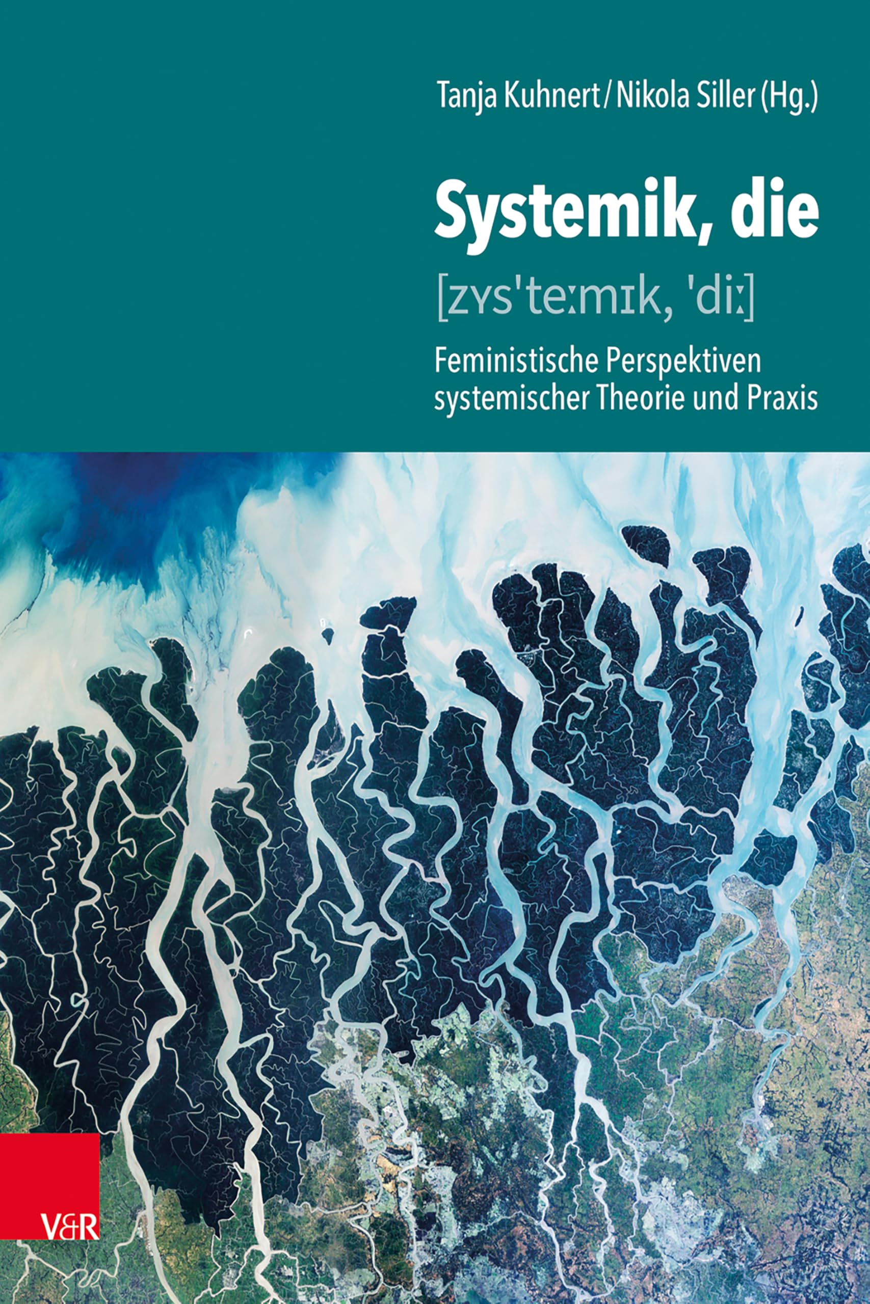 Systemik, die: Feministische Perspektiven systemischer Theorie und Praxis Medicine