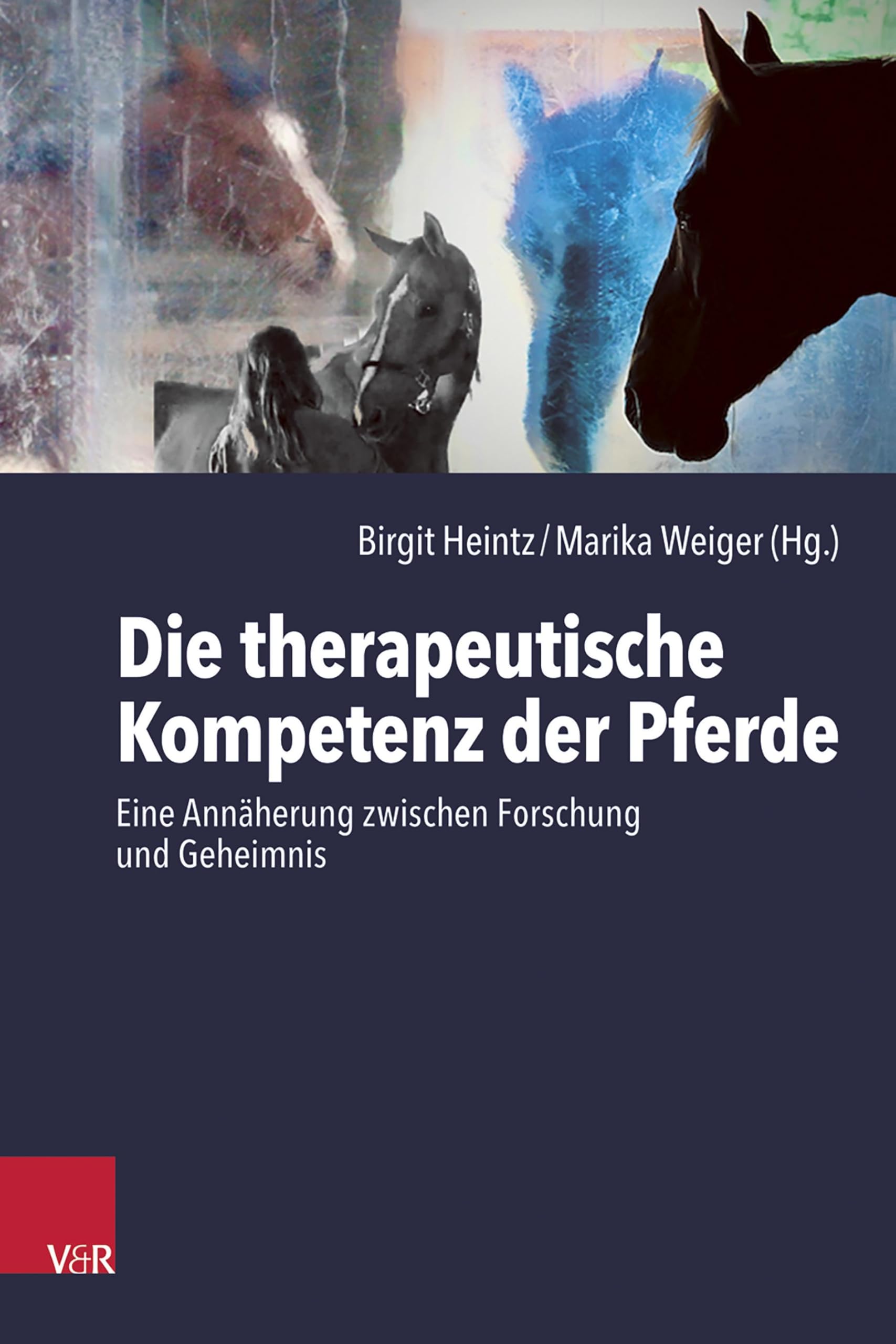 Product Image: Die therapeutische Kompetenz der Pferde