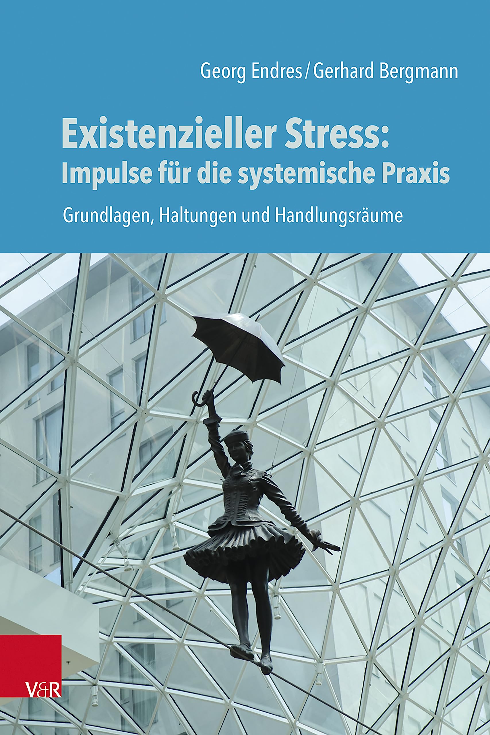 Existenzieller Stress: Impulse für die systemische Praxis Medicine