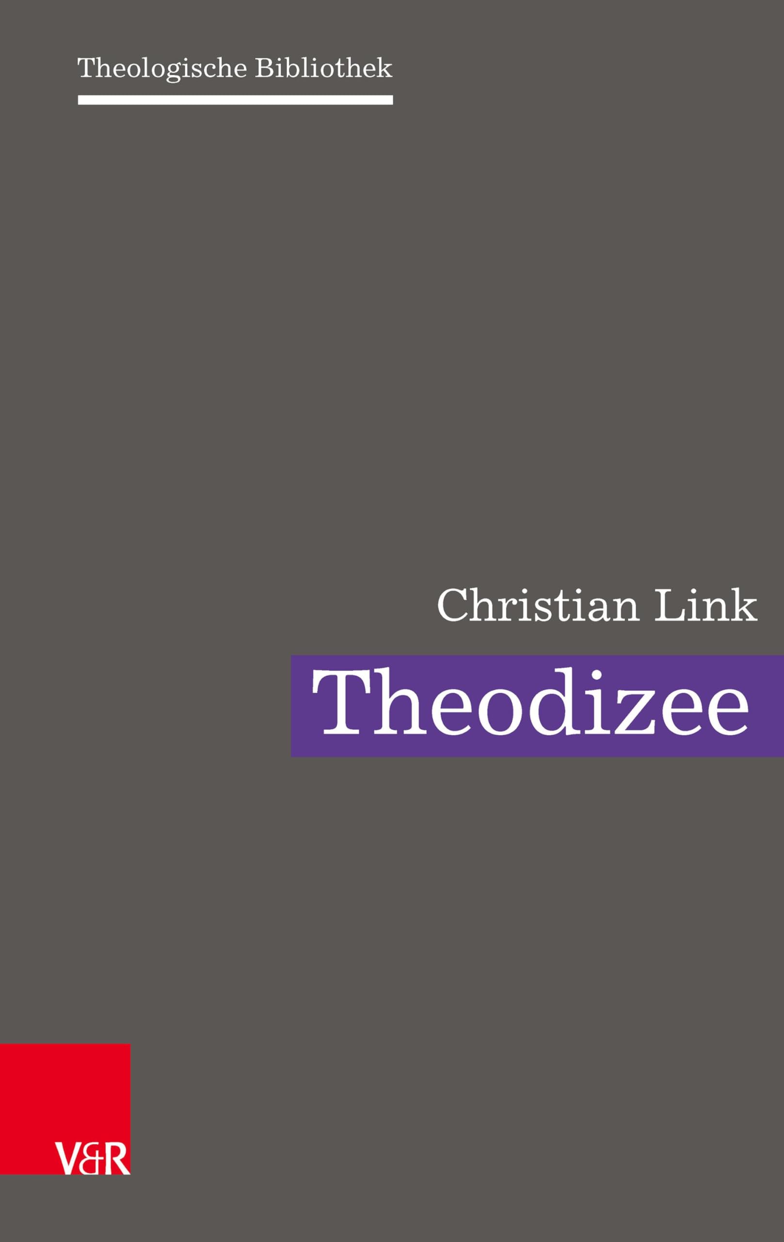 Theodizee: Eine theologische Herausforderung (Theologische Bibliothek) Philosophy