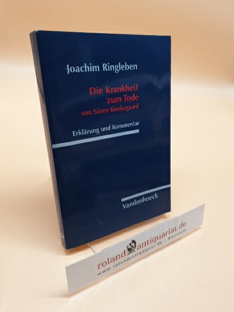 Die Krankheit zum Tode von Sören Kierkegaard: Erklärung und Kommentar Philosophy