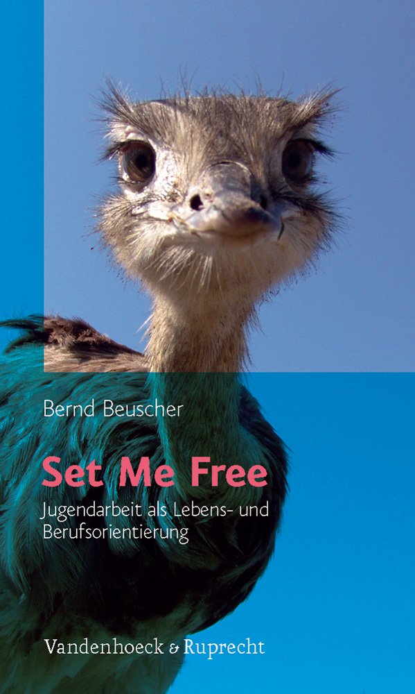 Set Me Free: Jugendarbeit als Lebens- und Berufsorientierung (Jugend in der Kirche) Books