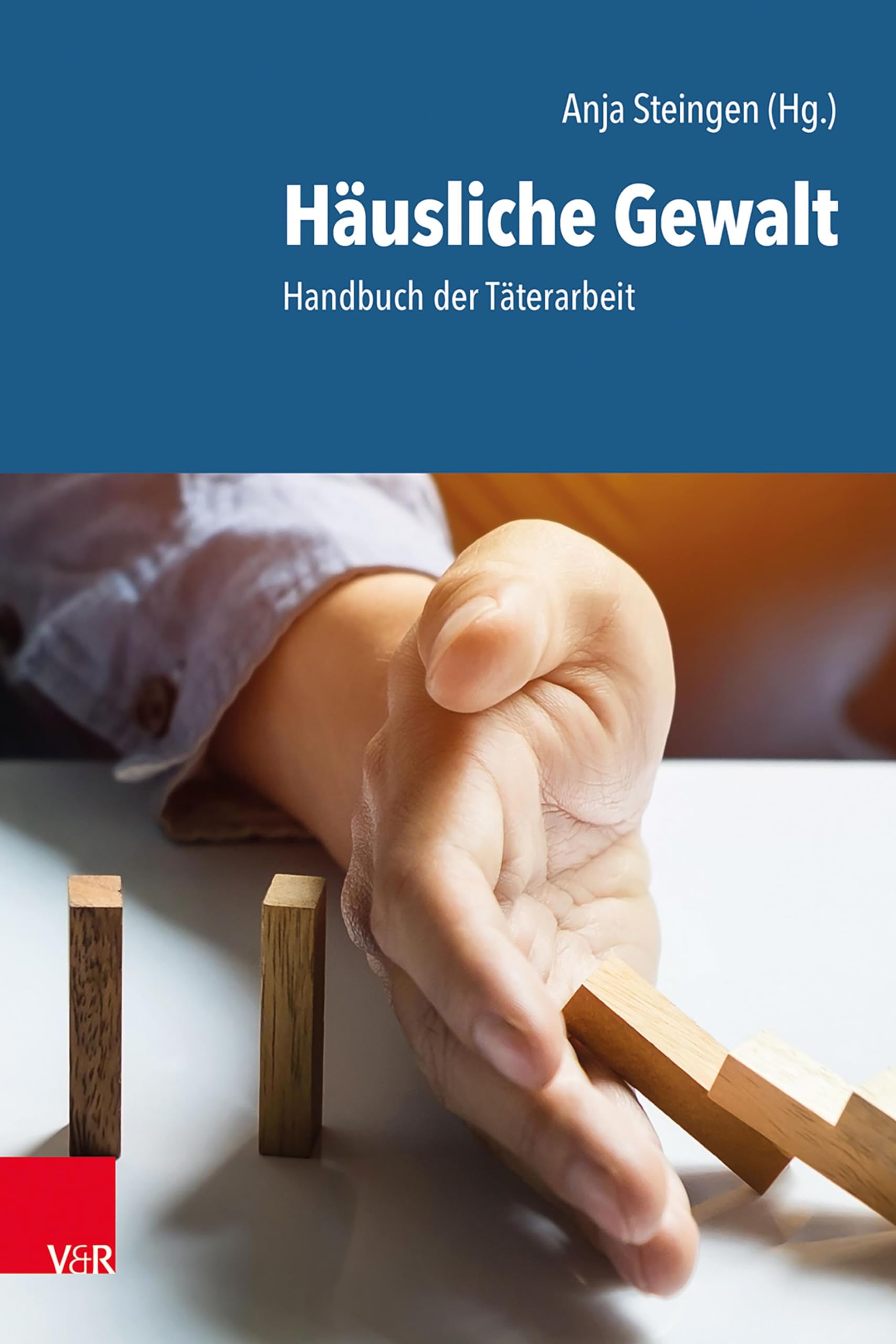 Häusliche Gewalt Social Sciences