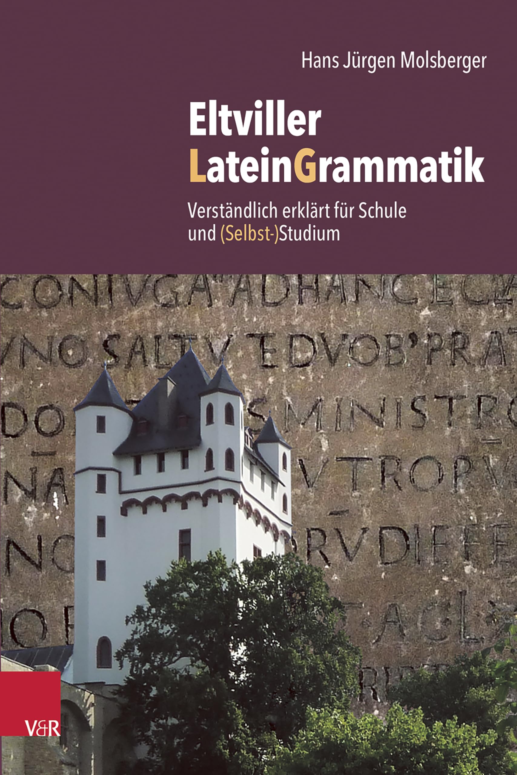 Eltviller LateinGrammatik: Verständlich erklärt für Schule und (Selbst-)Studium Foreign Languages ​​& Dictionaries