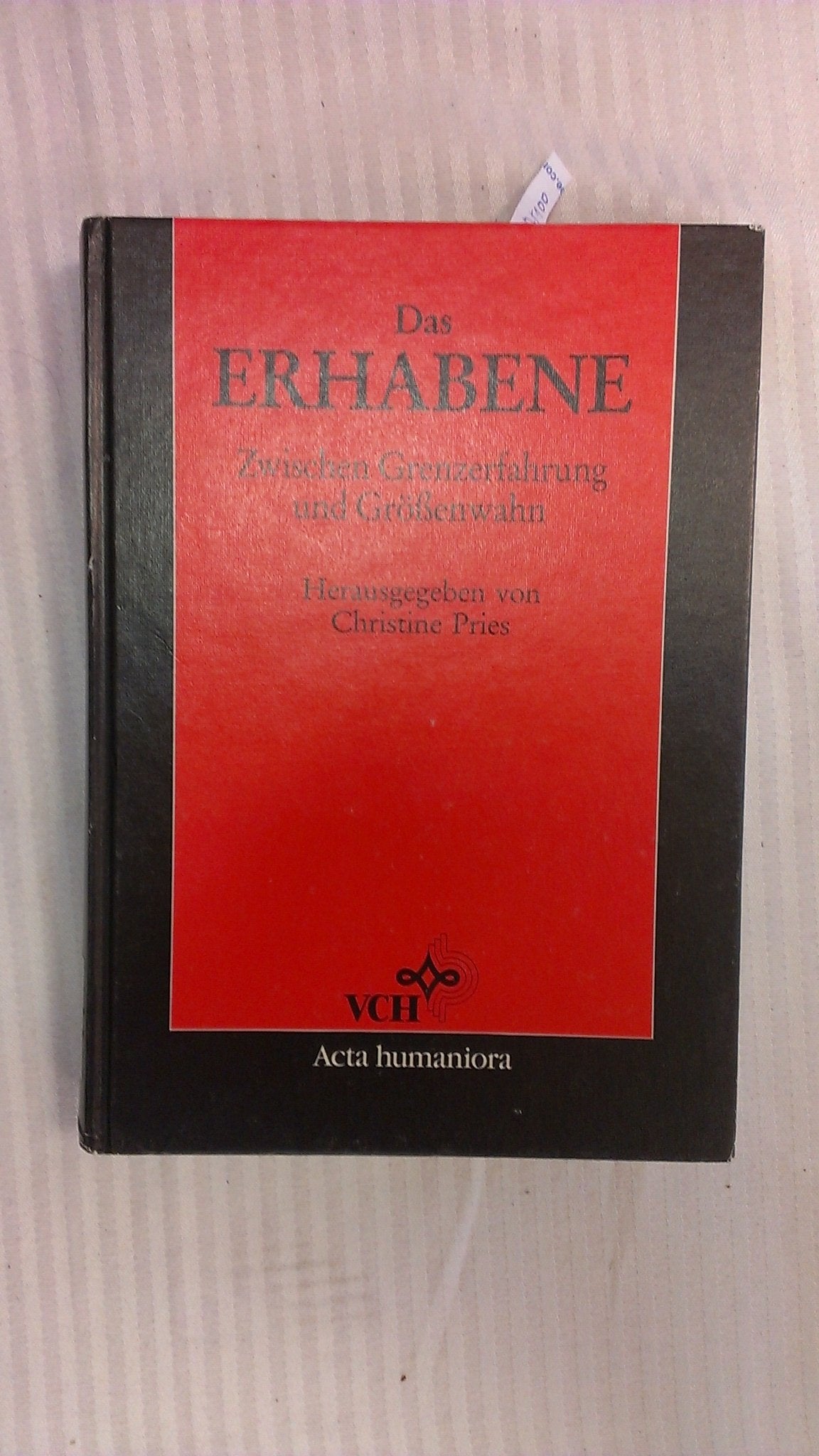 Das Erhabene. Zwischen Grenzerfahrung und Größenwahn. Philosophy