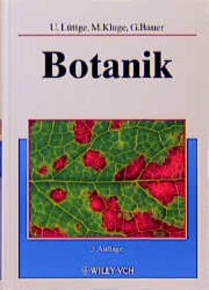 Botanik Mathematics