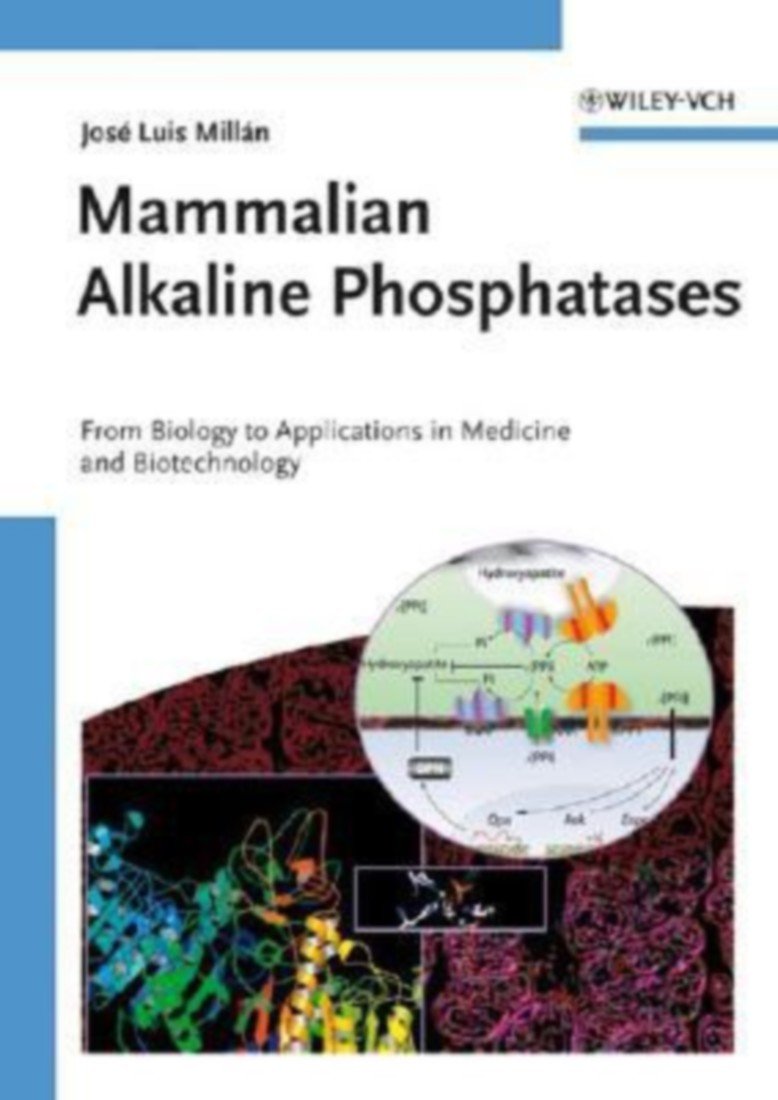 Mammalian Alkaline Phosphatases: From Biology to Applications in Medicine and Biotechnology Natural Sciences