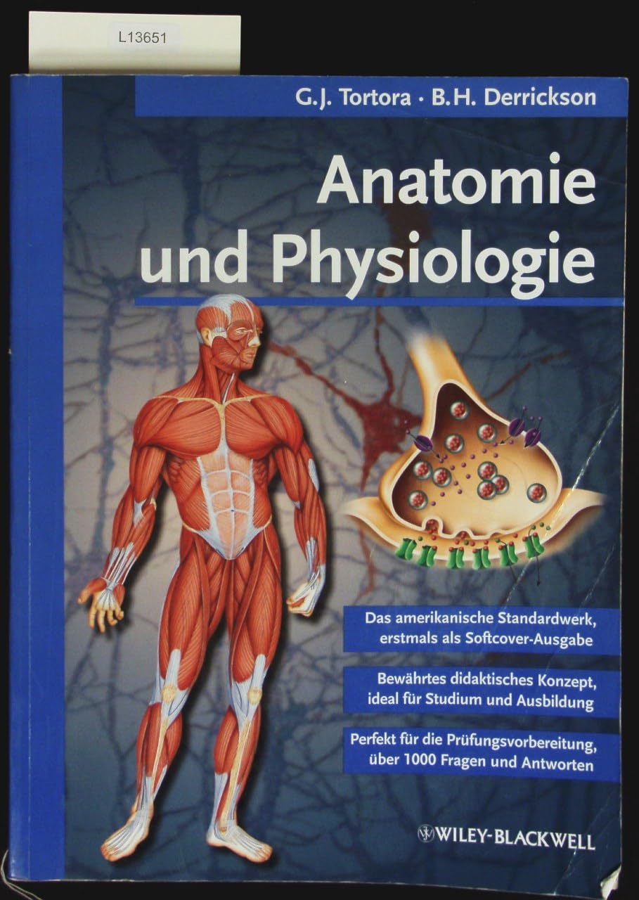 Anatomie und Physiologie Medicine