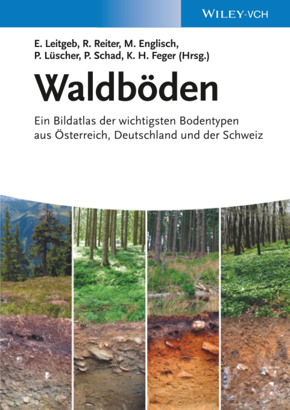 Waldboden Mathematics