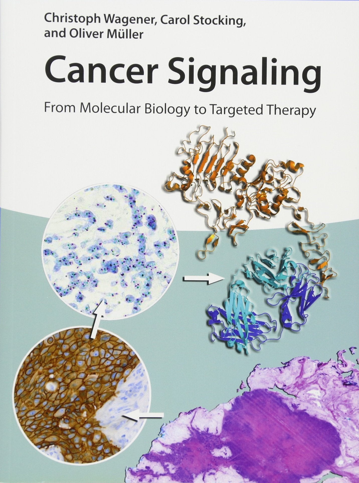 Cancer Signaling: From Molecular Biology to Targeted Therapy Medicine