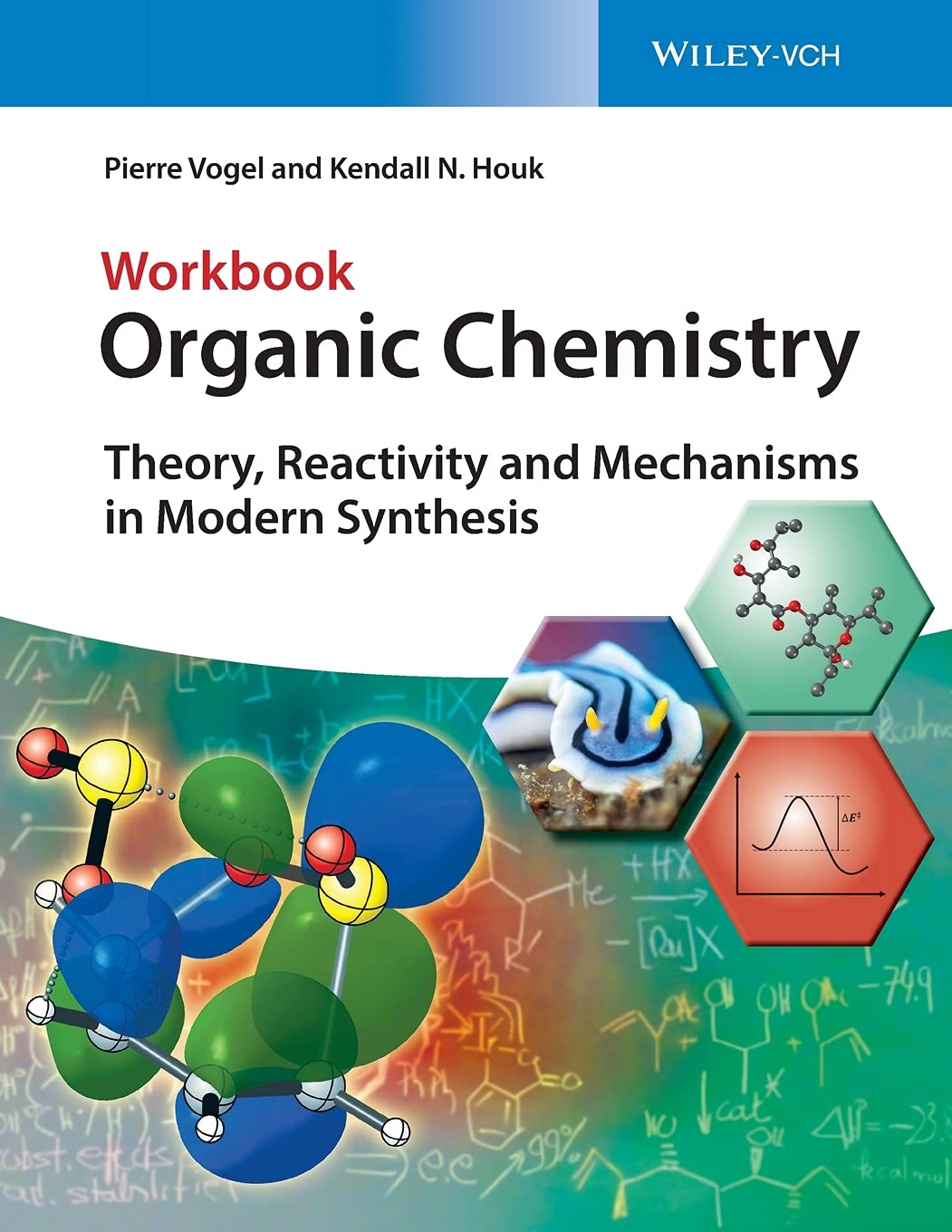 Organic Chemistry: Theory, Reactivity and Mechanisms in Modern Synthesis. Workbook Natural Sciences