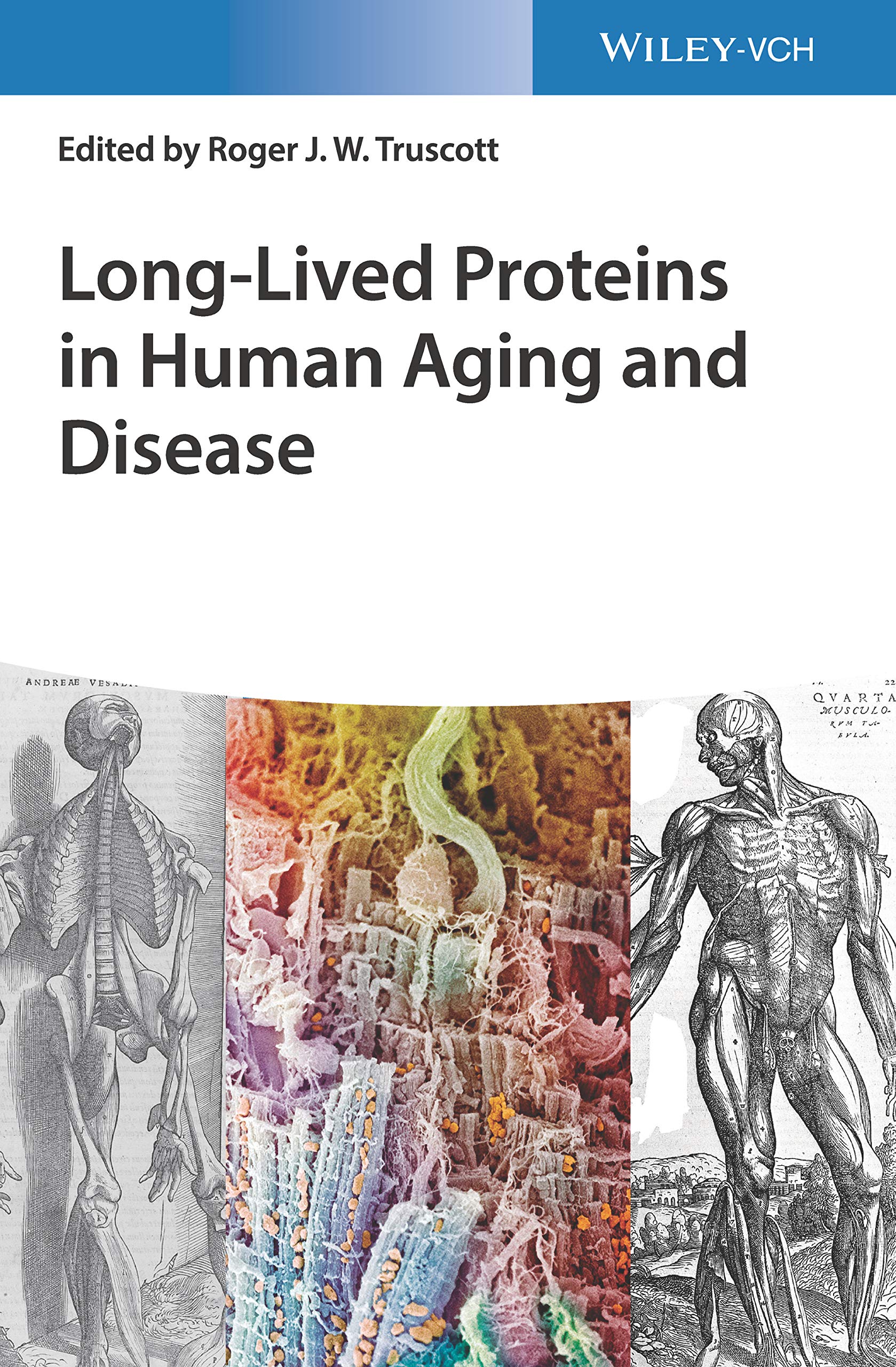 Long-lived Proteins in Human Aging and Disease Natural Sciences