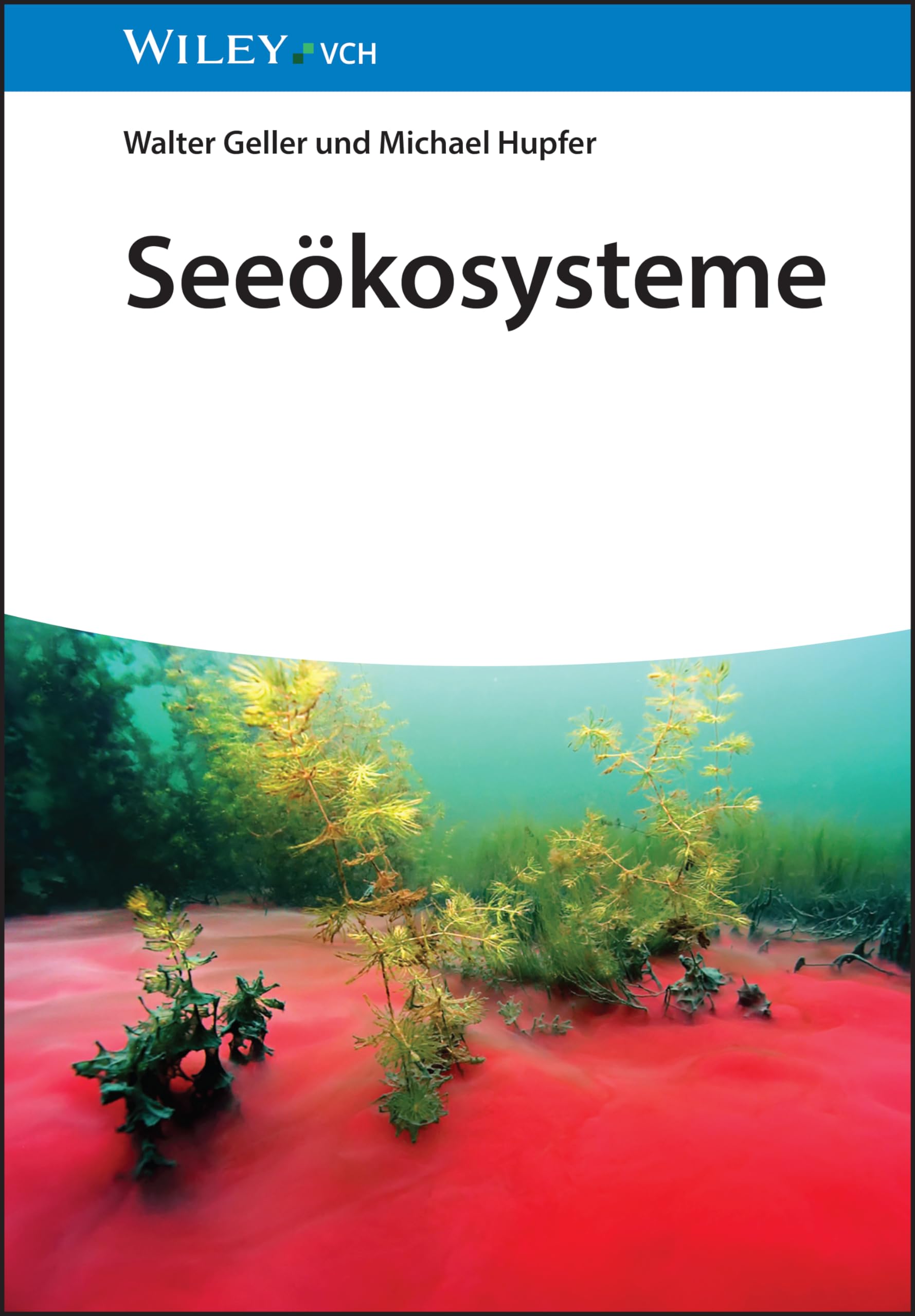 Seeökosysteme Social Sciences