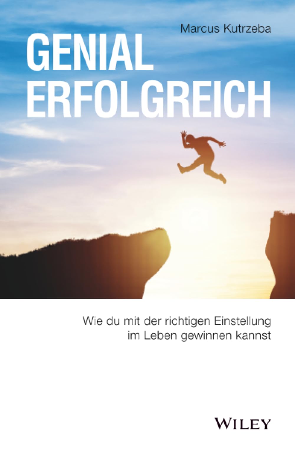 Genial erfolgreich Business, Finance & Career Books