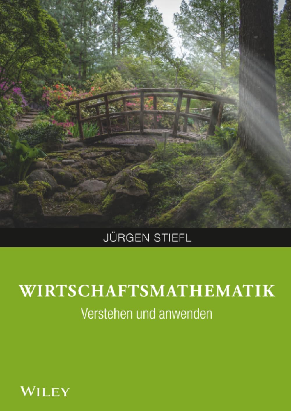Wirtschaftsmathematik anwenden und verstehen Law