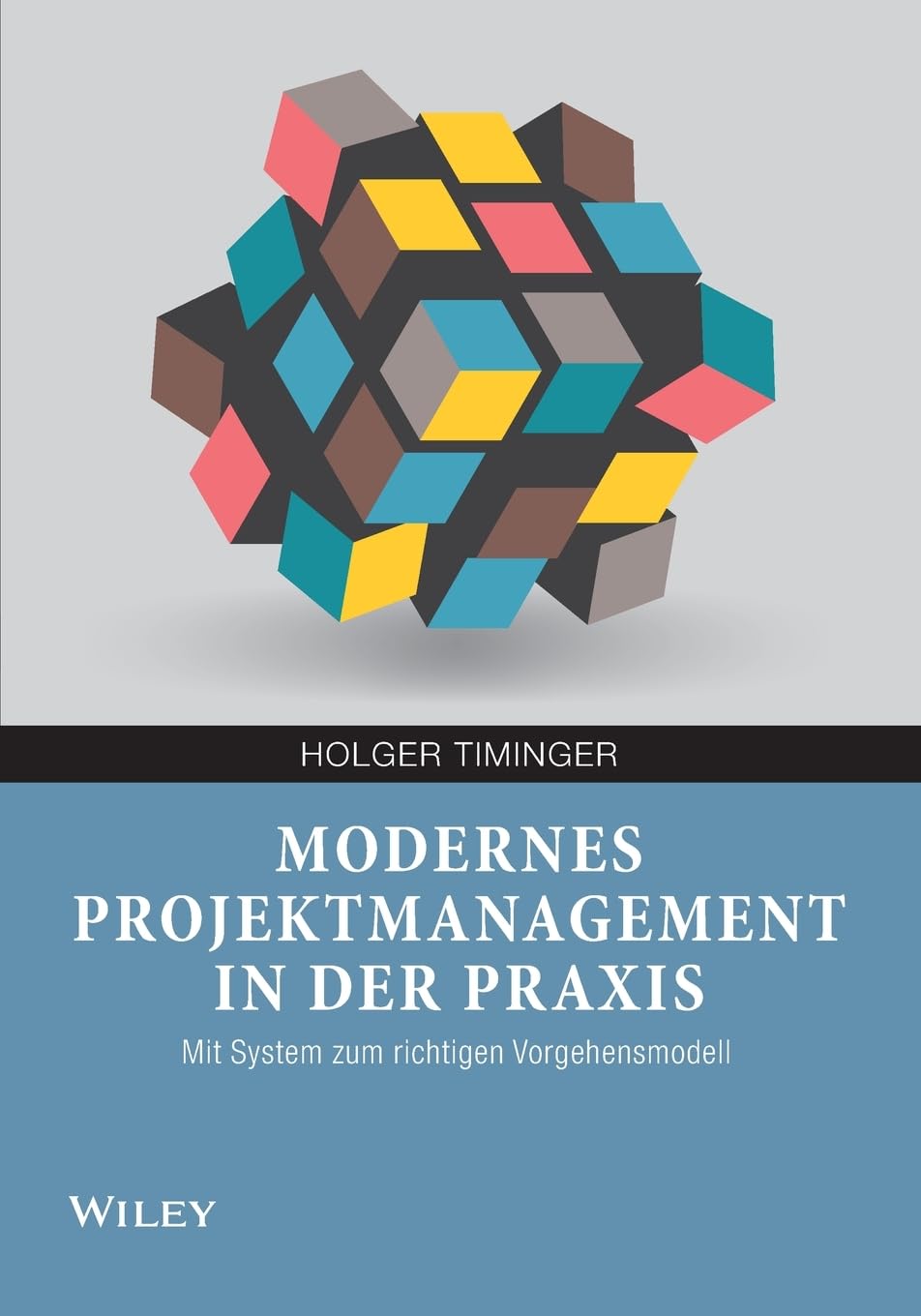 Modernes Projektmanagement in der Praxis Law
