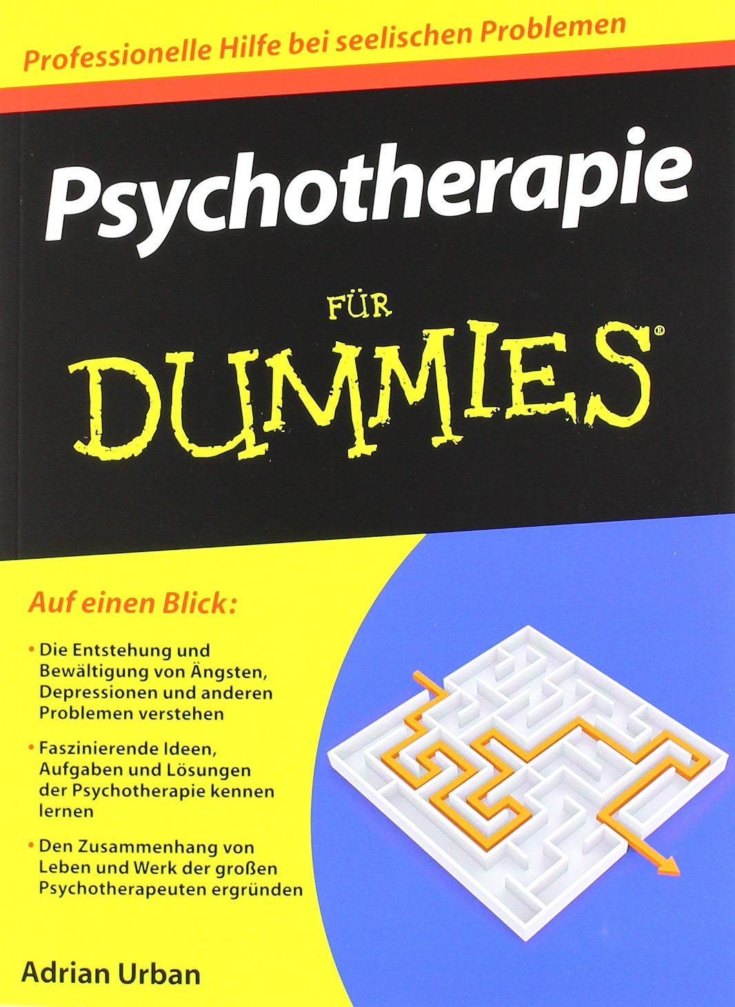 Psychotherapie für Dummies Medicine