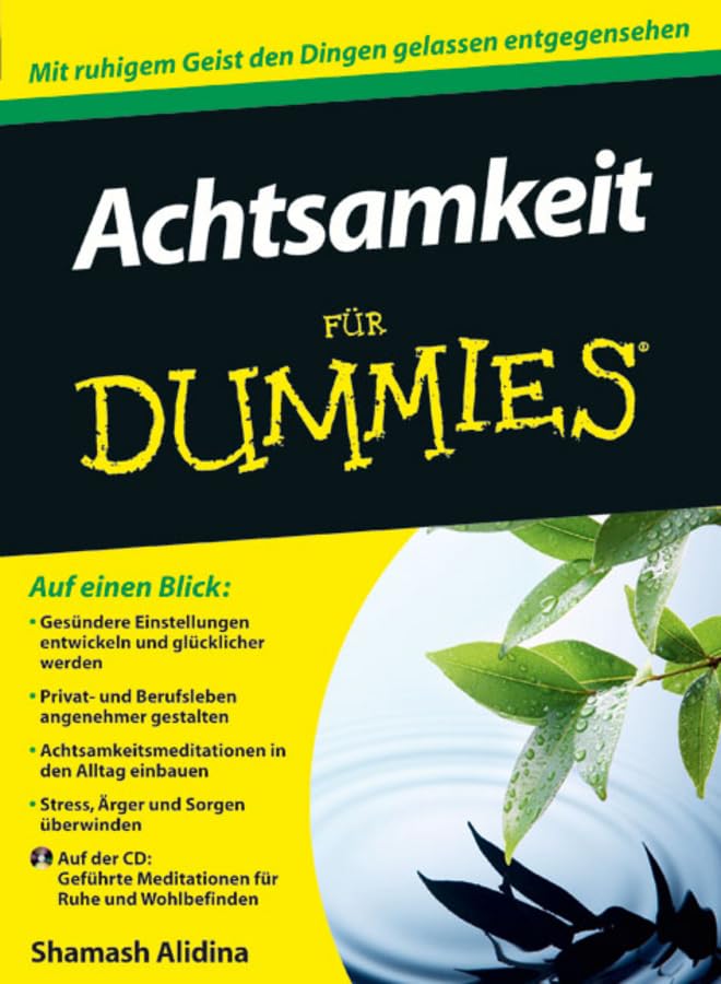 Achtsamkeit für Dummies Lifestyle