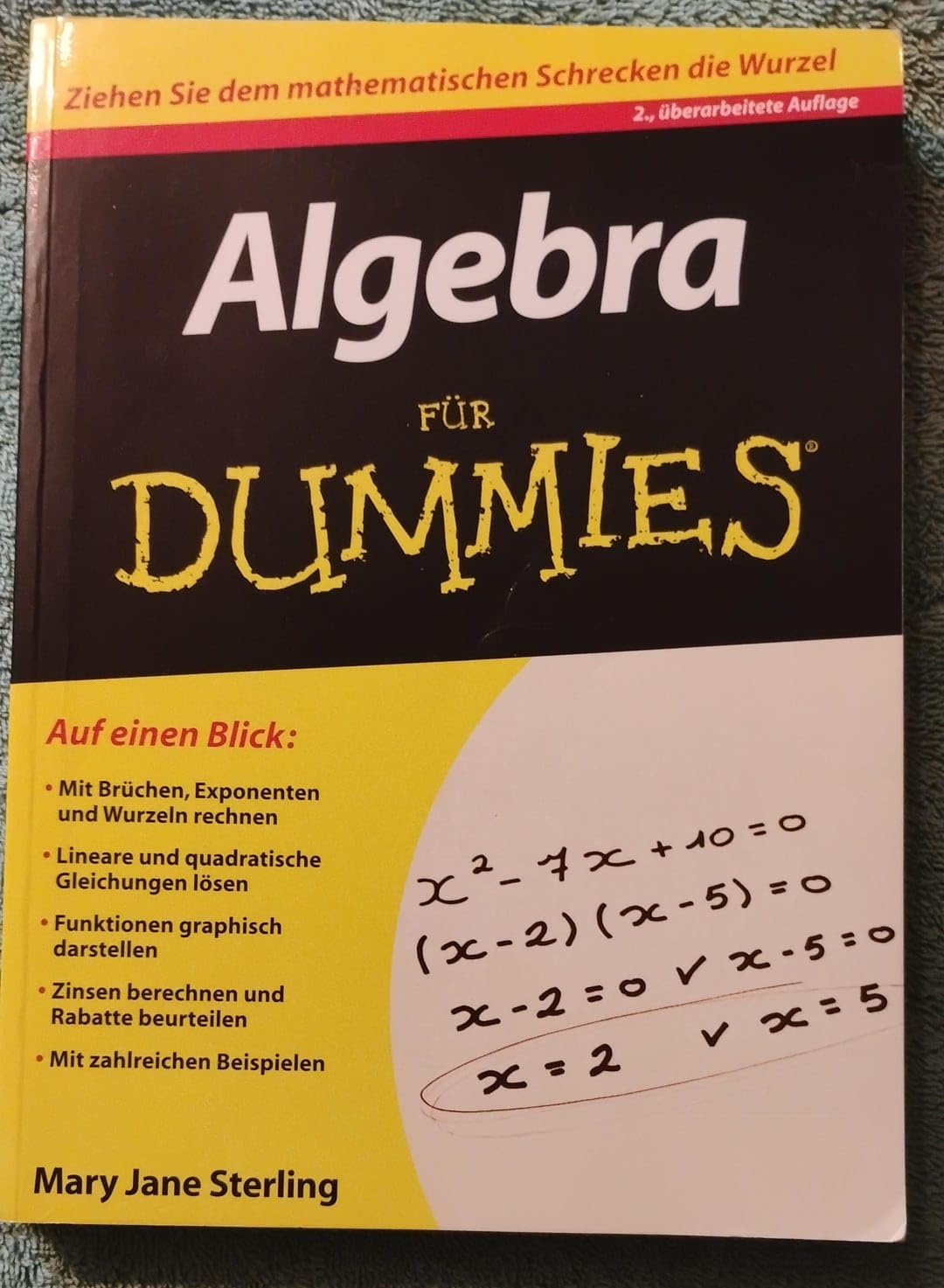 Algebra für Dummies Mathematics