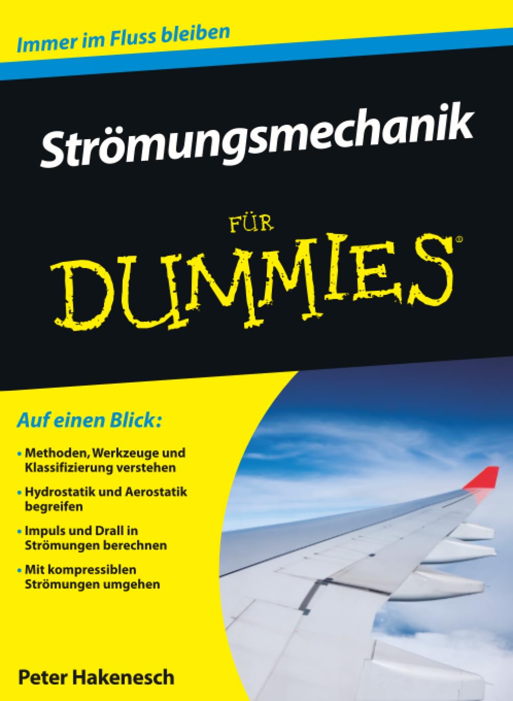 Strömungsmechanik für Dummies Business & Technology