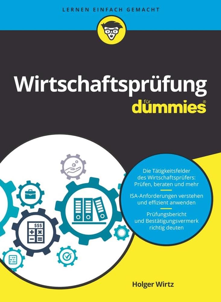 Wirtschaftsprüfung für Dummies Business, Finance & Career