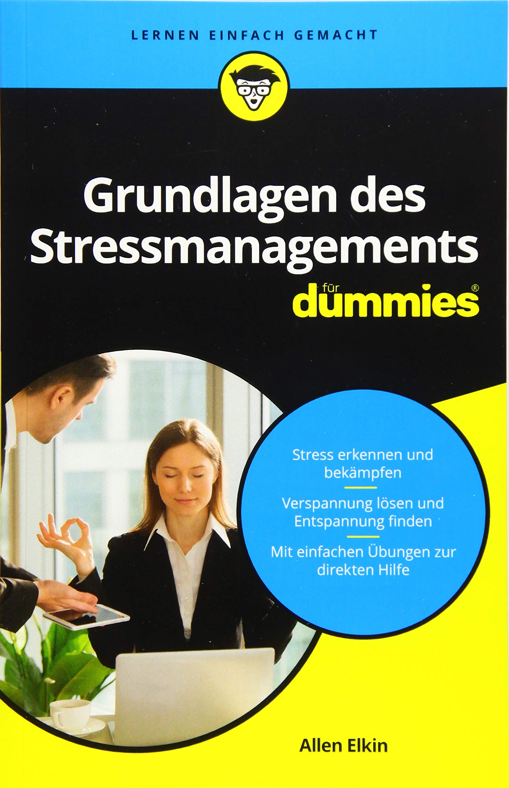 Grundlagen des Stressmanagements für Dummies Business, Finance & Career