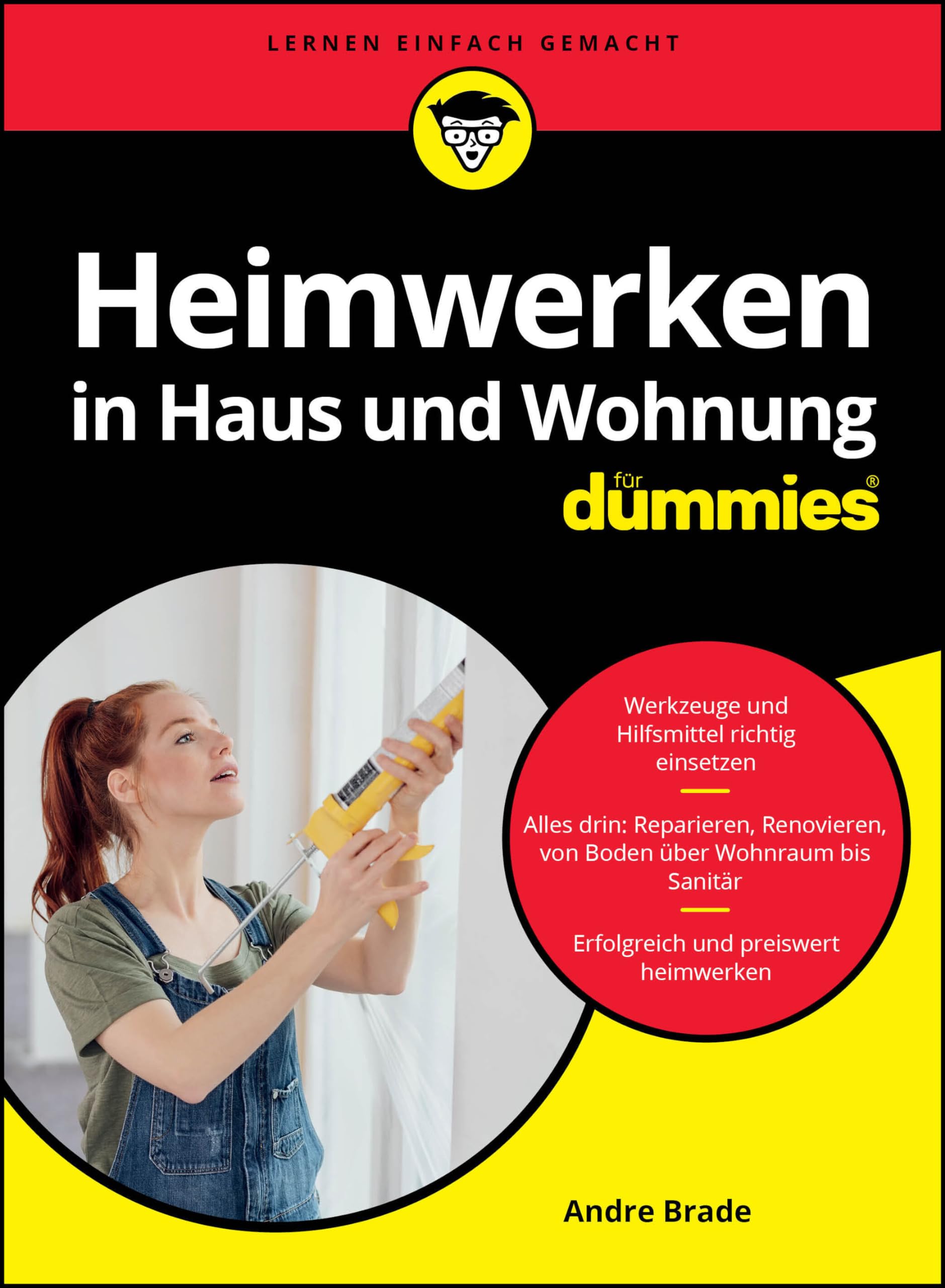 Heimwerken in Haus und Wohnung für Dummies Film, Art & Culture