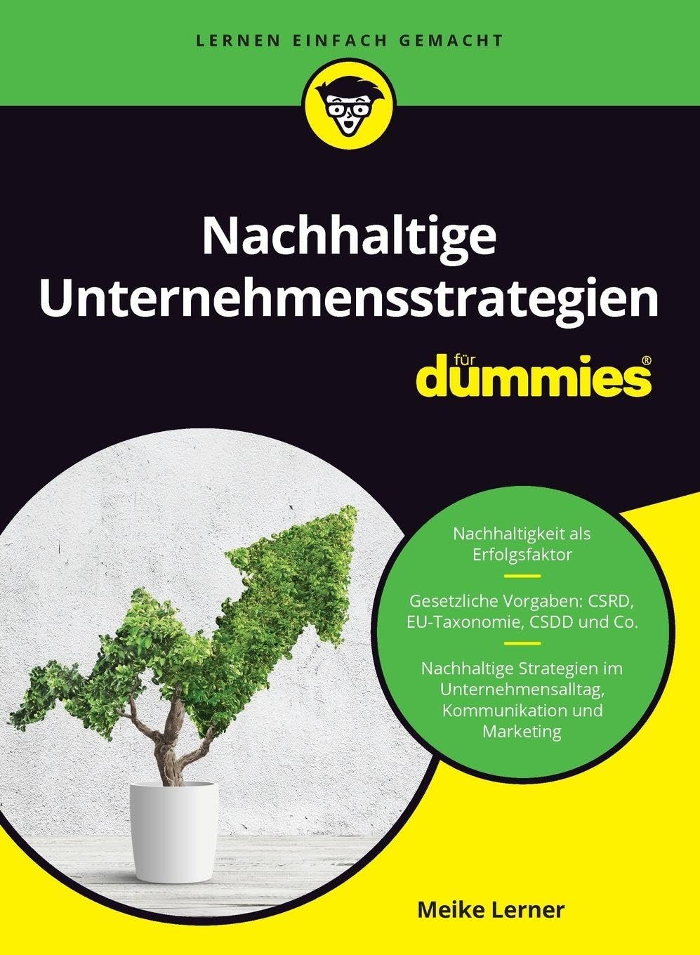 Nachhaltige Unternehmensstrategien für Dummies Business, Finance & Career