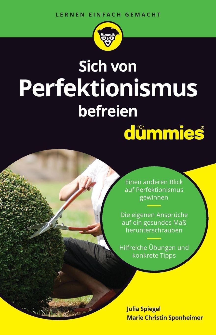 Sich von Perfektionismus befreien für Dummies book