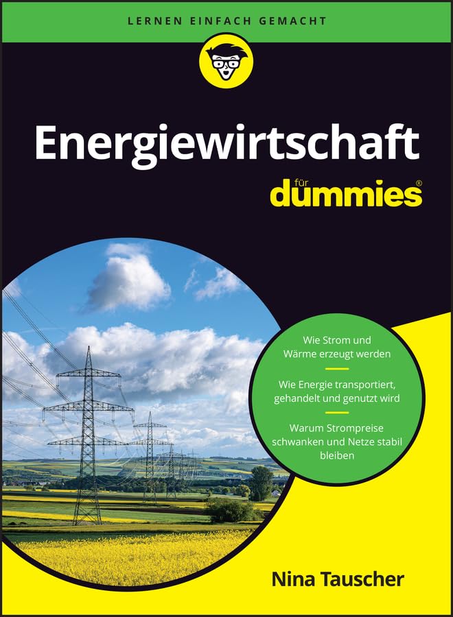 Energiewirtschaft für Dummies Business, Finance & Career