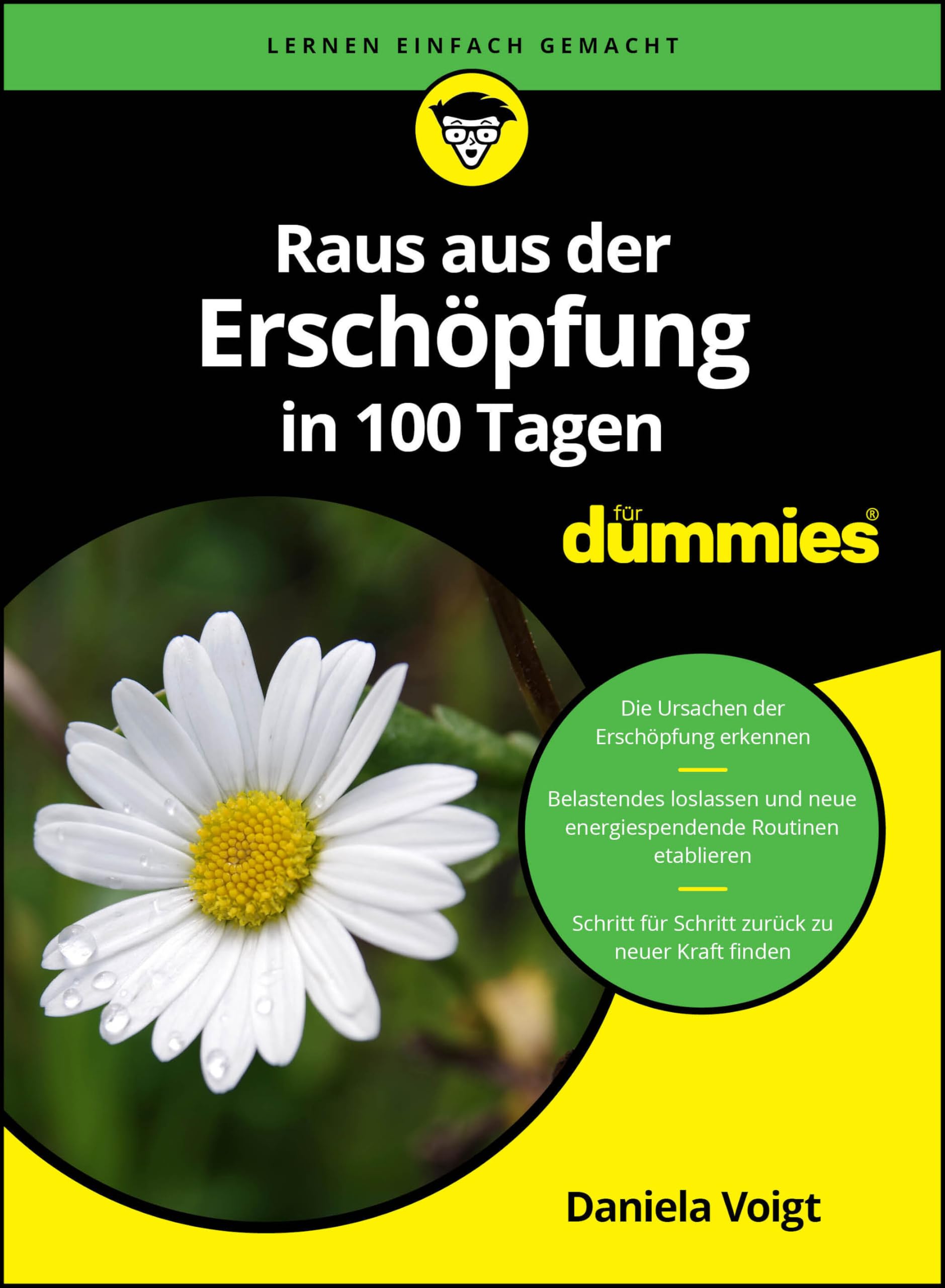 Raus aus der Erschöpfung in 100 Tagen für Dummies Business, Finance & Career