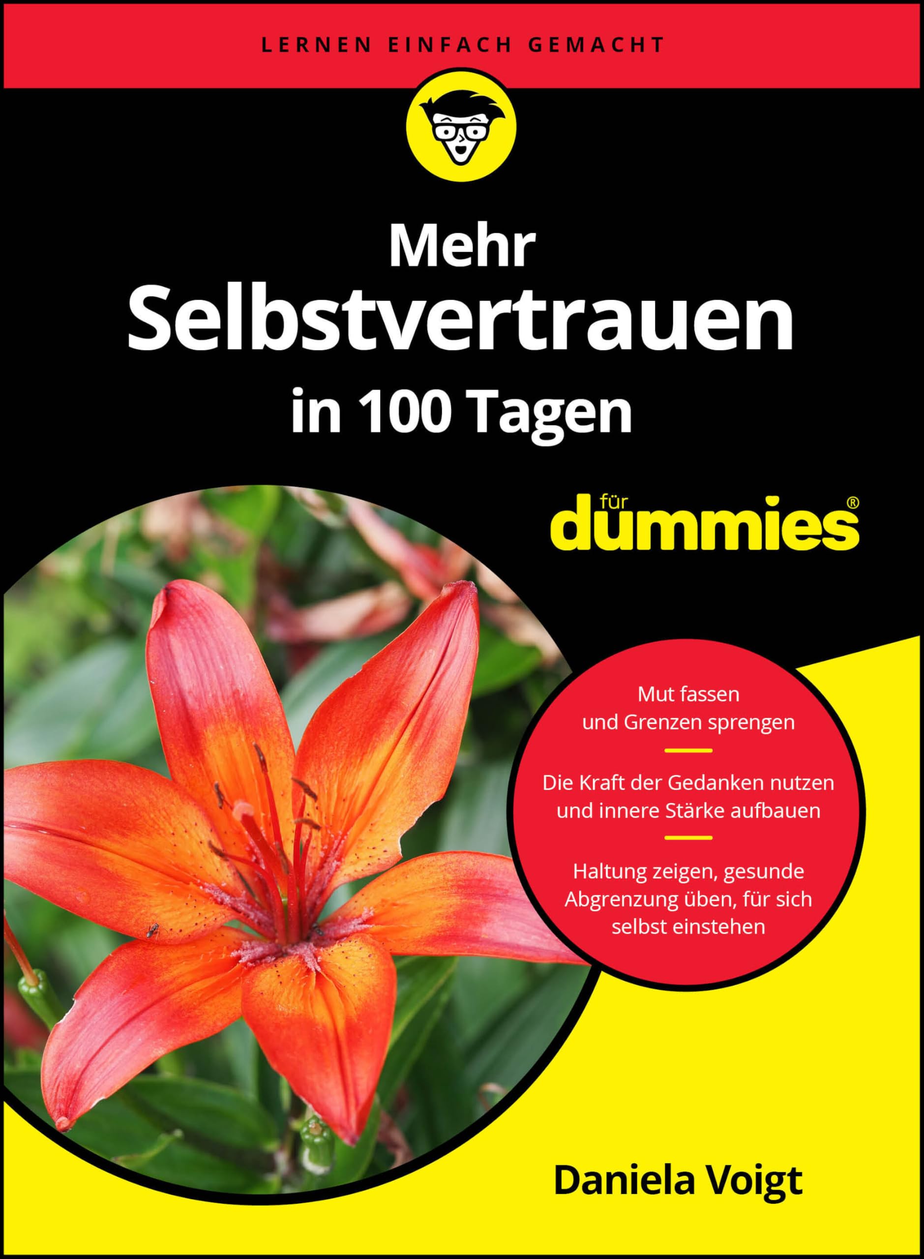 Mehr Selbstvertrauen in 100 Tagen für Dummies Business, Finance & Career