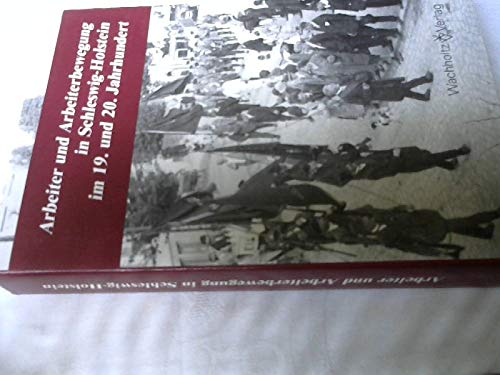 Arbeiter und Arbeiterbewegung in Schleswig-Holstein im 19. und 20. Jahrhundert (Studien zur Wirtschafts- und Sozialgeschichte Schleswig-Holsteins) Politics & History
