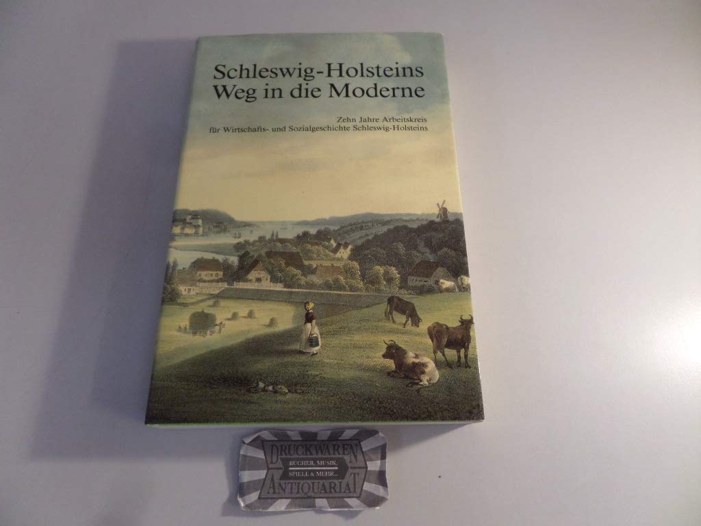 Schleswig-Holsteins Weg in die Moderne: Zehn Jahre Arbeitskreis für Wirtschafts- und Sozialgeschichte Schleswig-Holsteins (Studien zur Wirtschafts- und Sozialgeschichte Schleswig-Holsteins) Politics & History