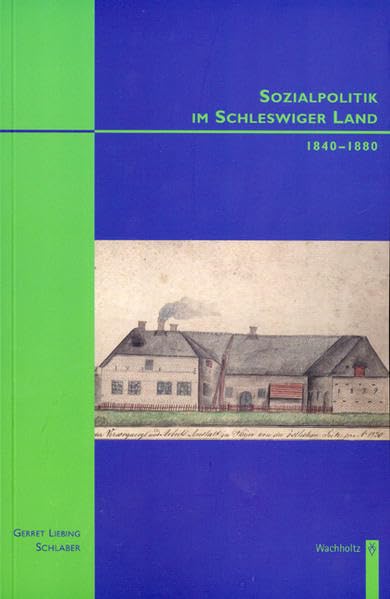 Sozialpolitik im Schleswiger Land 1840-1880 (Studien zur Wirtschafts- und Sozialgeschichte Schleswig-Holsteins) Politics & History