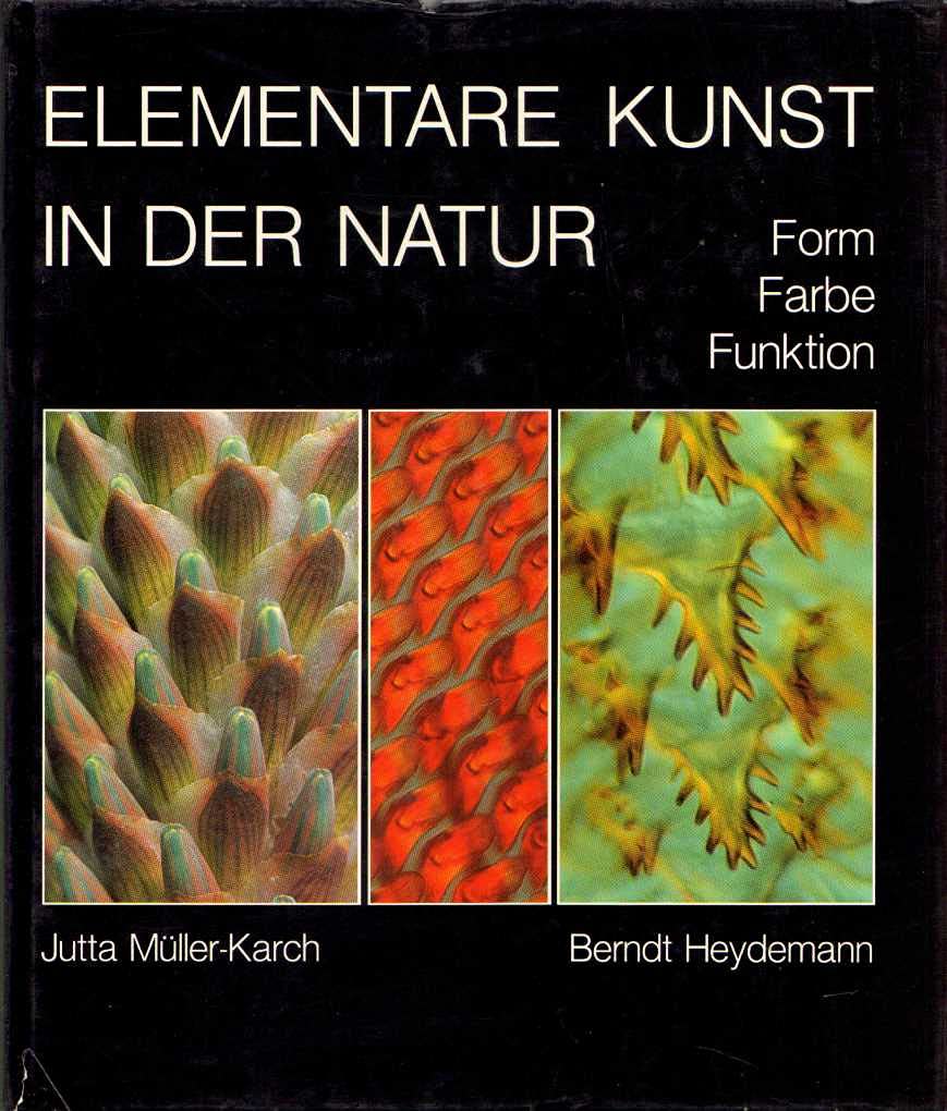 Elementare Kunst in der Natur: Form - Farbe - Funktion Philosophy