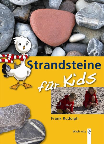 Strandsteine für Kids Natural Sciences
