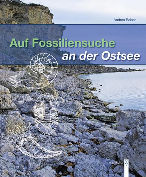 Auf Fossiliensuche an der Ostsee: Gesteine-Fossilien-Fundmöglichkeiten Leisure, Home & Garden