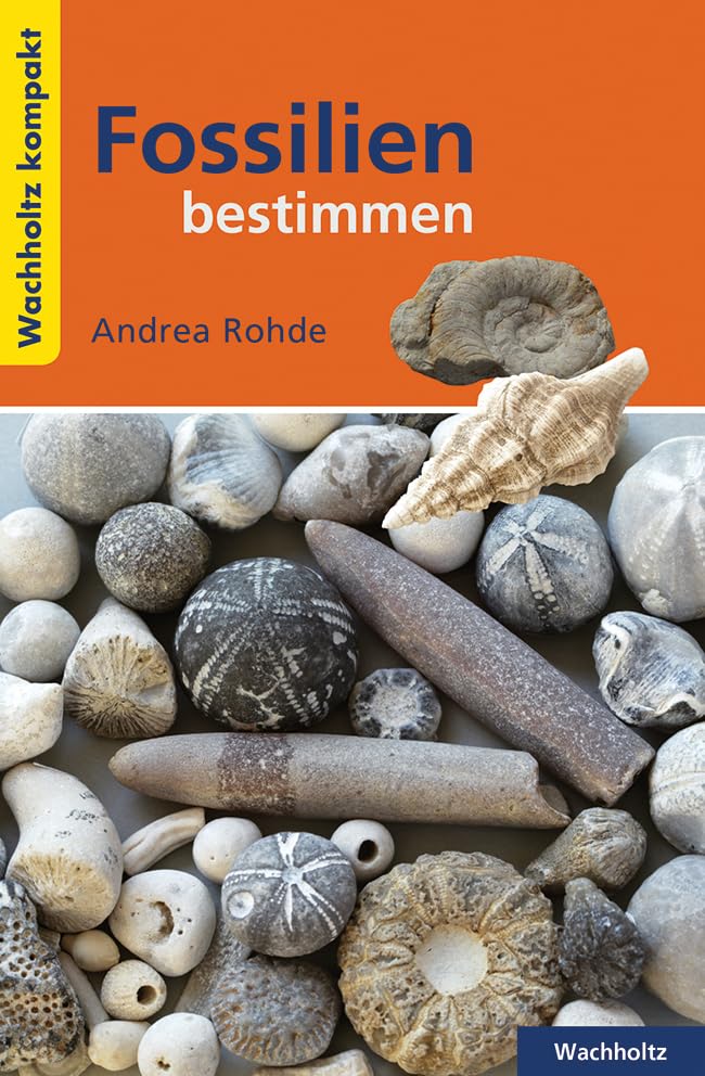 Fossilien bestimmen KOMPAKT Natural Sciences