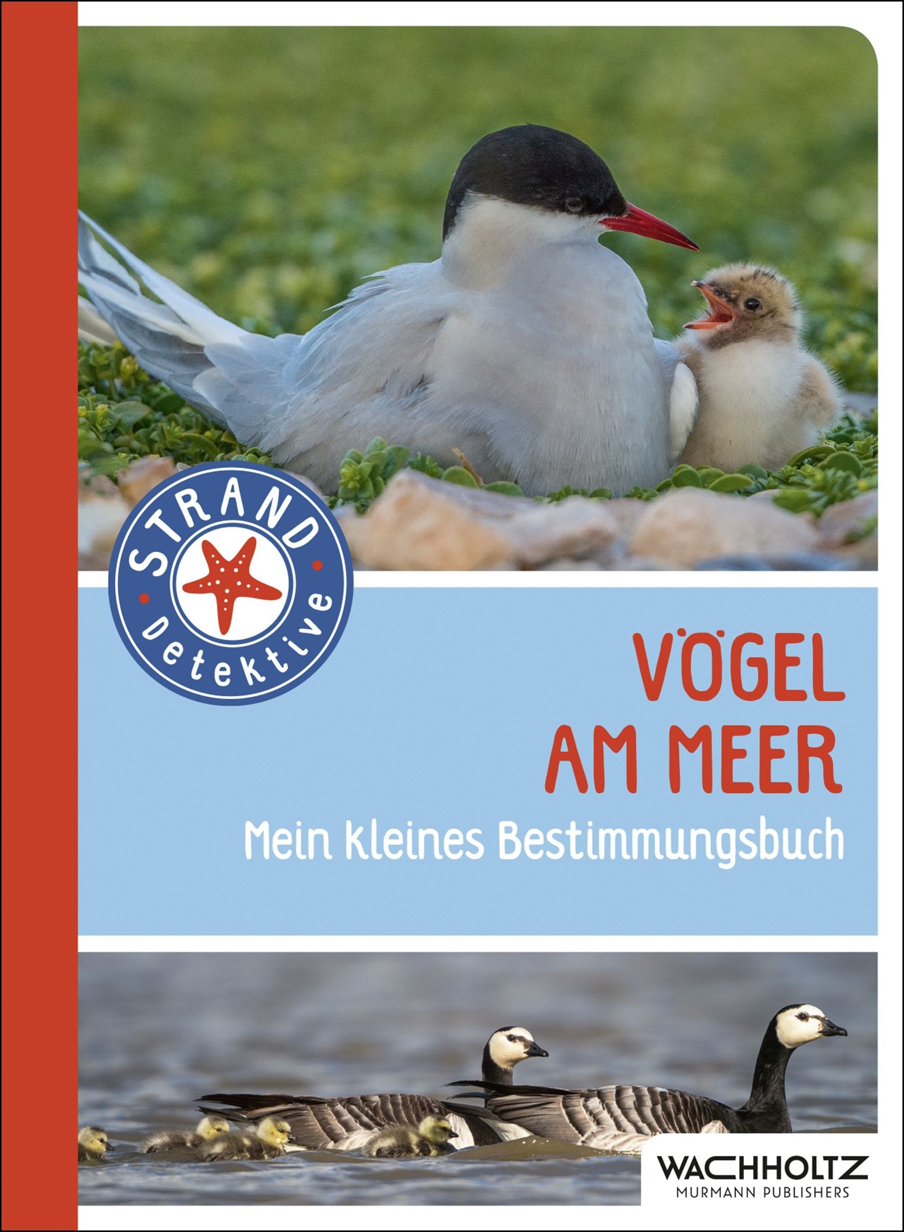 Vögel am Meer Natural Sciences