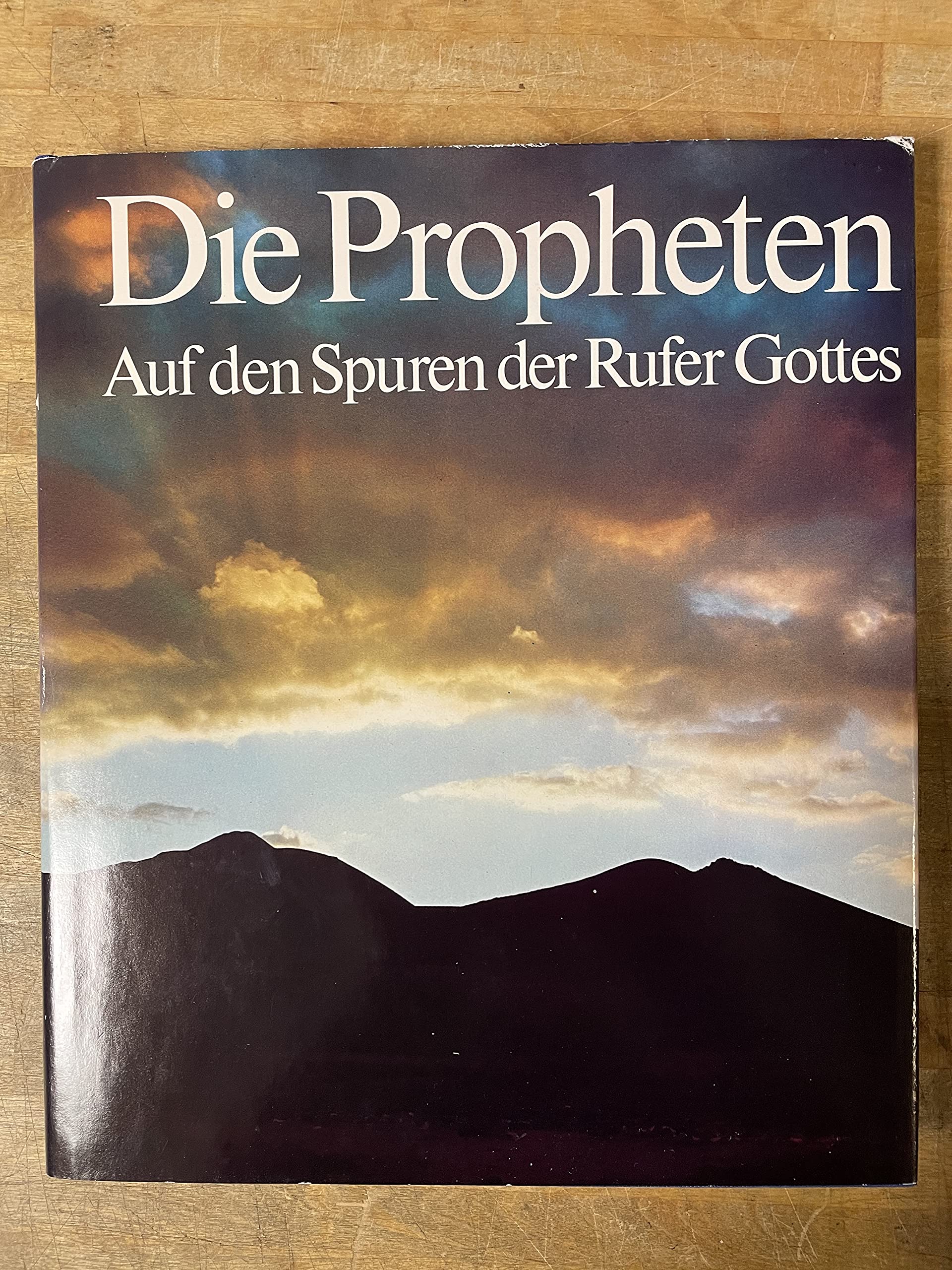 Die Propheten - Auf den Spuren der Rufer Gottes book