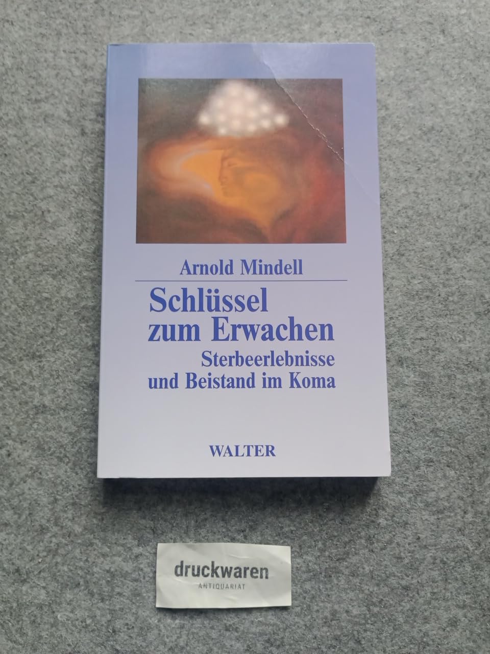Schlüssel zum Erwachen. Sterbeerlebnisse und Beistand im Koma Death & Mourning