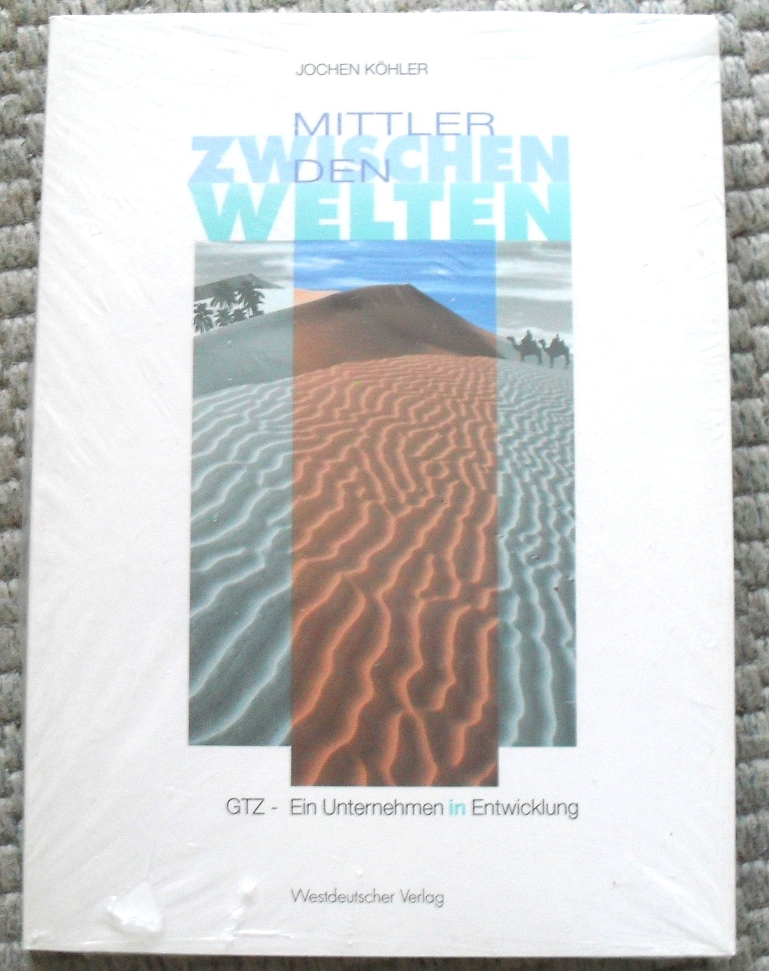 Mittler zwischen den Welten: GTZ - Ein Unternehmen in Entwicklung Law