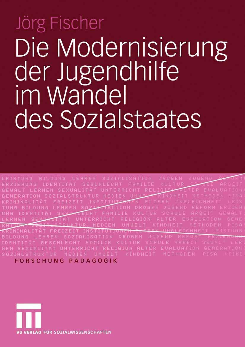 Die Modernisierung der Jugendhilfe im Wandel des Sozialstaates book