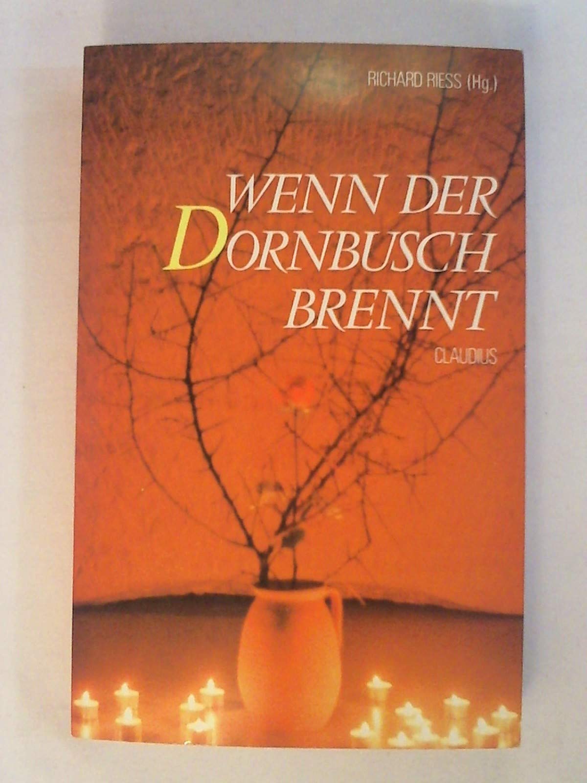 Wenn der Dornbusch brennt: Beiträge zum Pfarrerberuf, zur Praxis geistlichen Lebens und zum Weg der Kirche Professional & Reference Books
