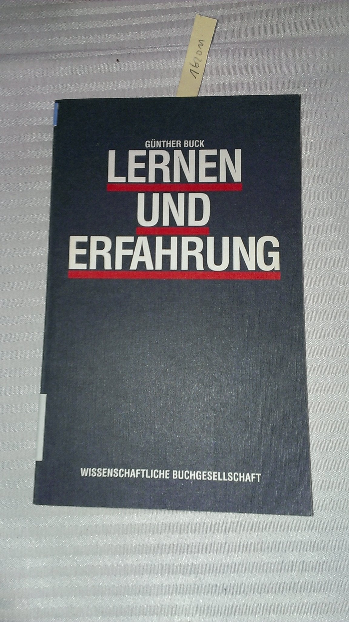 Lernen und Erfahrung - Epagogik: Zum Begriff der didaktischen Induktion book