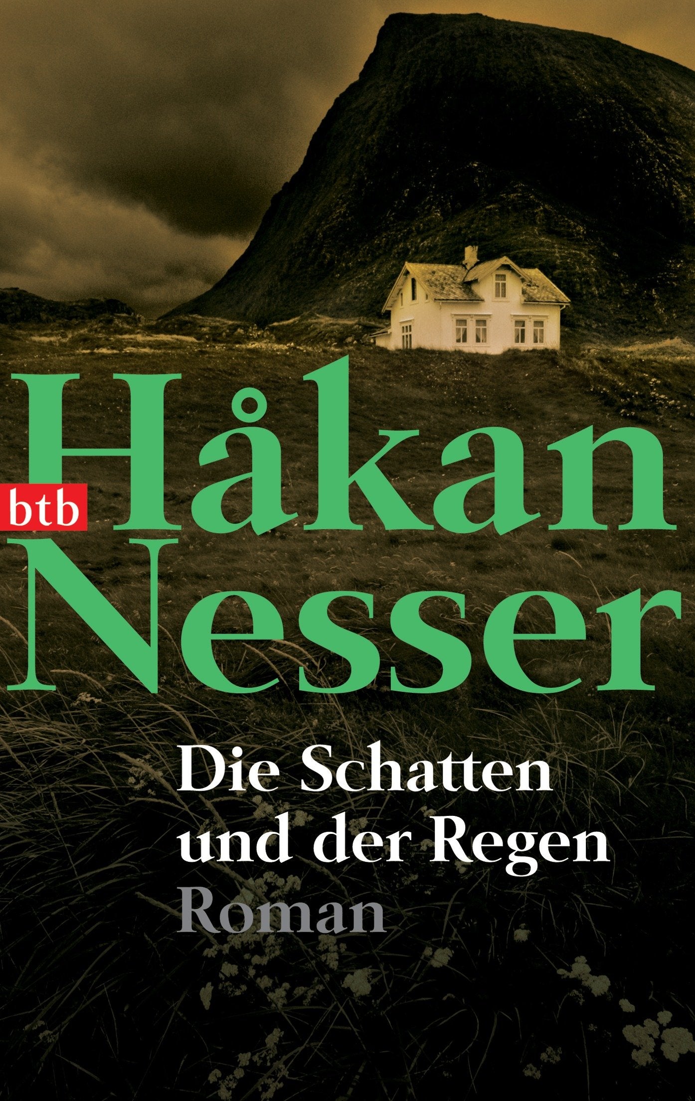 Die Schatten und der Regen: Roman Contemporary literature