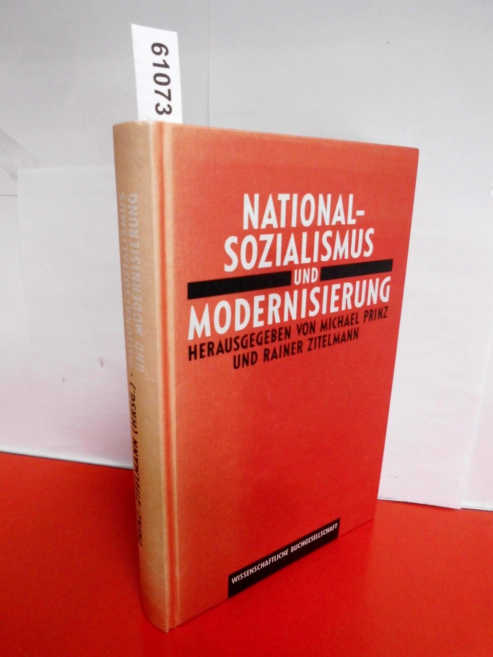 Nationalsozialismus und Modernisierung Politics & History