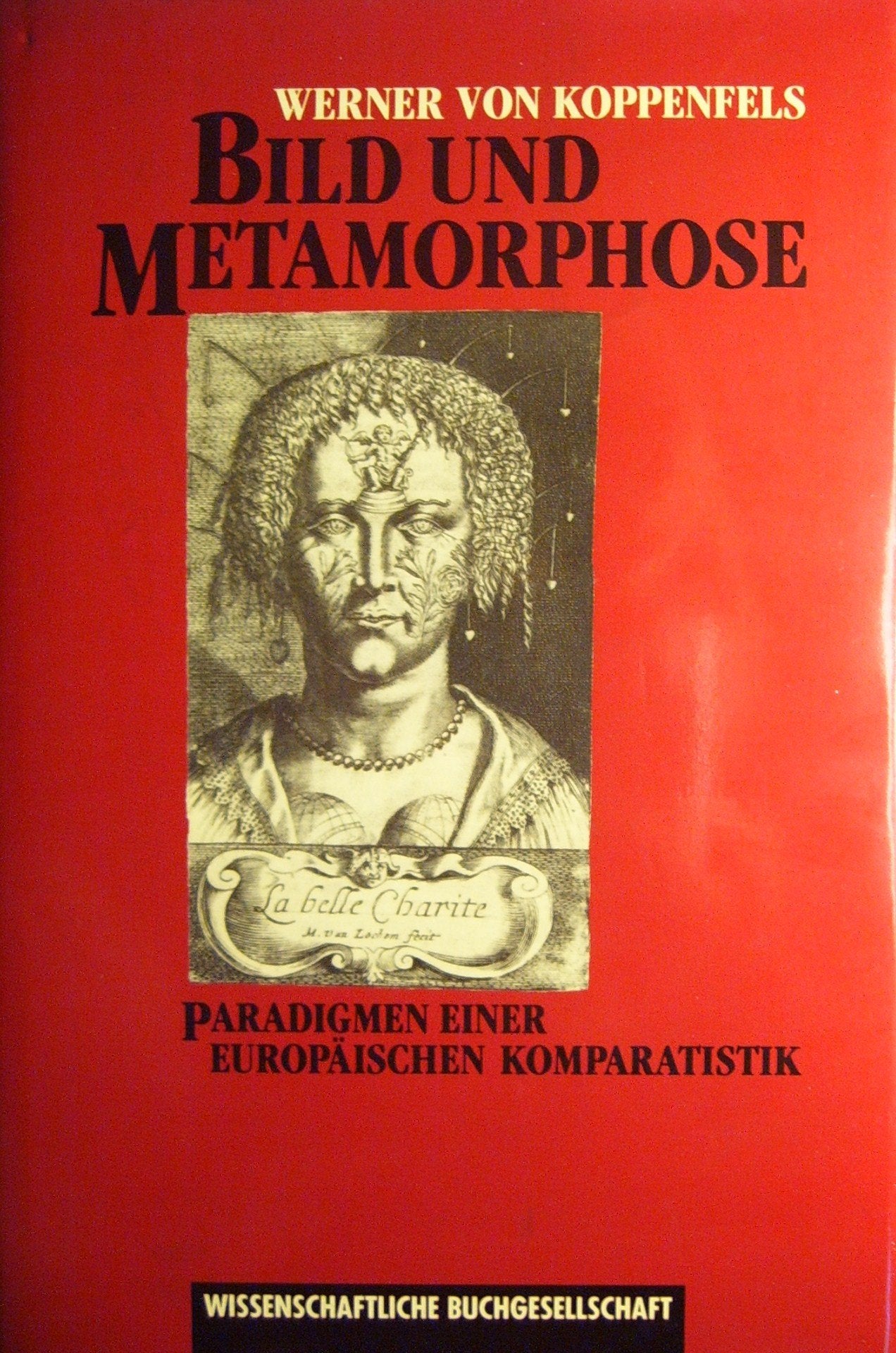 Bild und Metamorphose: Paradigmen einer europäischen Komparatistik Books