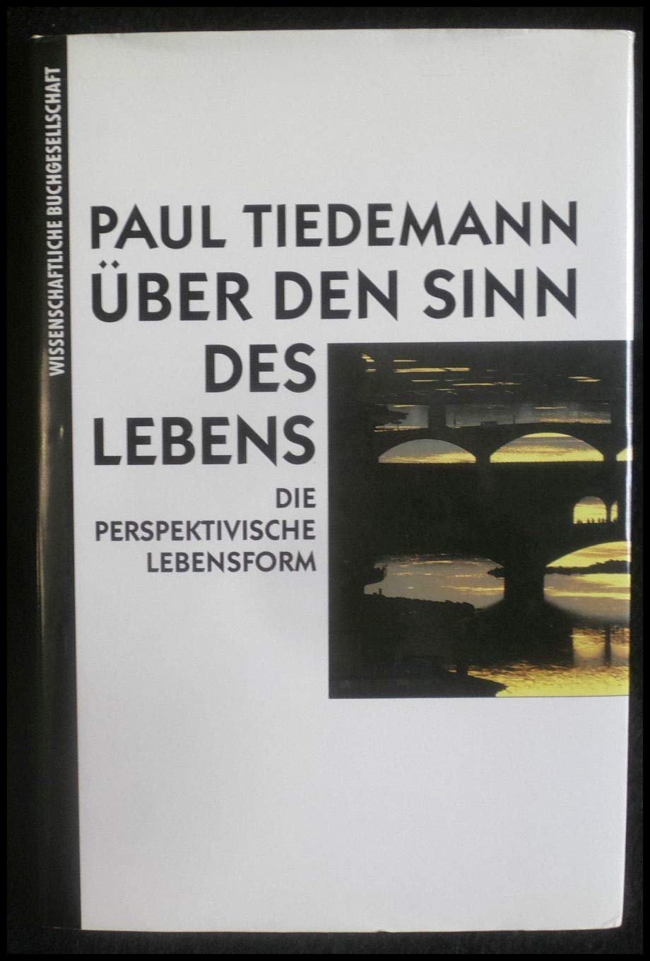 Über den Sinn des Lebens : die perspektivische Lebensform. Philosophy